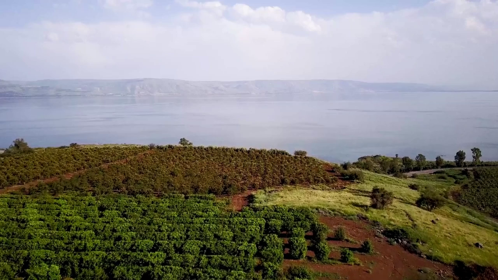 Kako bi crkva trebala reagirati na epidemije?